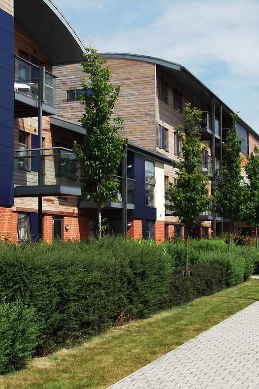 Modern flats with hedges in front